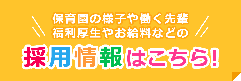 保育園の様子や働く先輩 福利厚生やお給料などの採用情報はこちら！